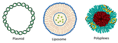 الشكل (4): بعض الأمثلة عن النواقل غير الفيروسية المستخدمة في العلاج الجيني.