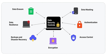 الشكل (2): أنواع ضوابط أمن البيانات.